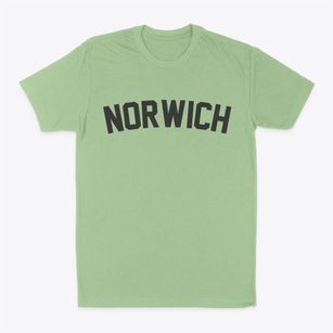 Norwich Ohio Classic Curve Classic Dad T-Shirt