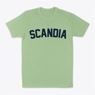 Scandia Minnesota Classic Curve Classic Dad T-Shirt