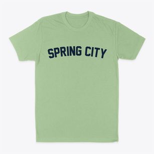 Spring City Tennessee Classic Curve Classic Dad T-Shirt