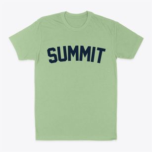 Summit South Carolina Classic Curve Classic Dad T-Shirt