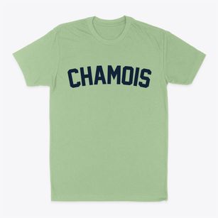 Chamois Missouri Classic Curve Classic Dad T-Shirt