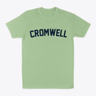 Cromwell Oklahoma Classic Curve Classic Dad T-Shirt