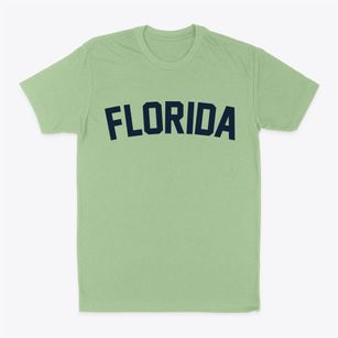 Florida Ohio Classic Curve Classic Dad T-Shirt