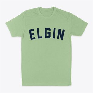 Elgin Pennsylvania Classic Curve Classic Dad T-Shirt