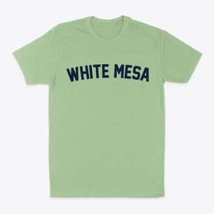 White Mesa Utah Classic Curve Classic Dad T-Shirt