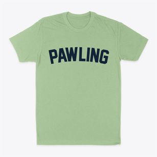 Pawling New York Classic Curve Classic Dad T-Shirt