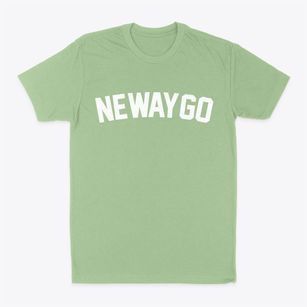 Newaygo Michigan Classic Curve Classic Dad T-Shirt