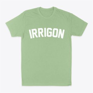 Irrigon Oregon Classic Curve Classic Dad T-Shirt