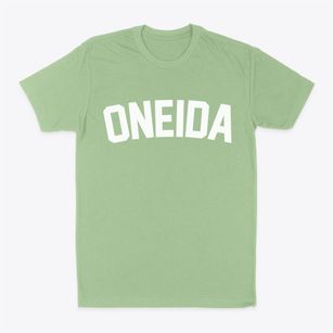Oneida Illinois Classic Curve Classic Dad T-Shirt