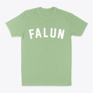 Falun Kansas Classic Curve Classic Dad T-Shirt