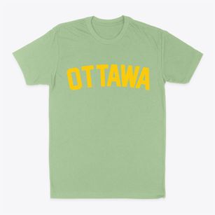Ottawa Illinois Classic Curve Classic Dad T-Shirt