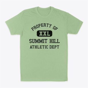 Summit Hill Pennsylvania Athletic Dept Classic Dad T-Shirt