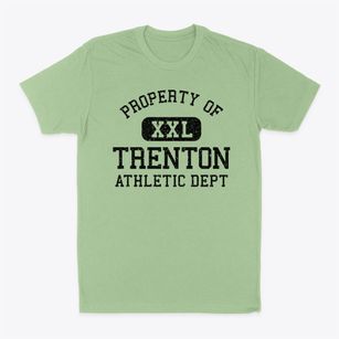 Trenton Illinois Athletic Dept Classic Dad T-Shirt