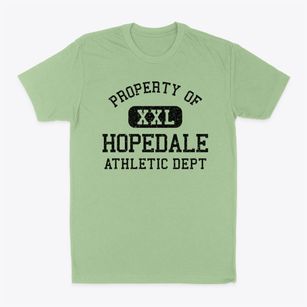 Hopedale Illinois Athletic Dept Classic Dad T-Shirt