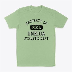 Oneida Illinois Athletic Dept Classic Dad T-Shirt