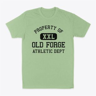 Old Forge New York Athletic Dept Classic Dad T-Shirt