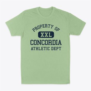 Concordia Kansas Athletic Dept Classic Dad T-Shirt