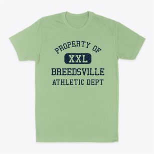 Breedsville Michigan Athletic Dept Classic Dad T-Shirt