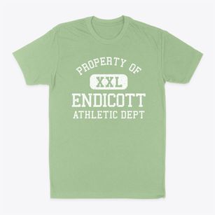 Endicott Washington Athletic Dept Classic Dad T-Shirt