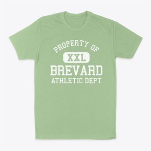 Brevard North Carolina Athletic Dept Classic Dad T-Shirt