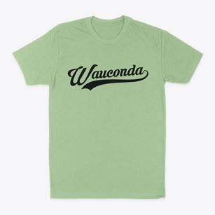Wauconda Illinois Vintage Team Classic Dad T-Shirt