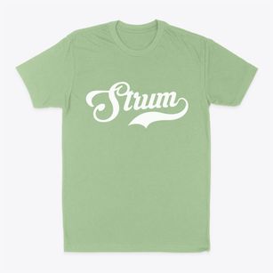 Strum Wisconsin Vintage Team Classic Dad T-Shirt