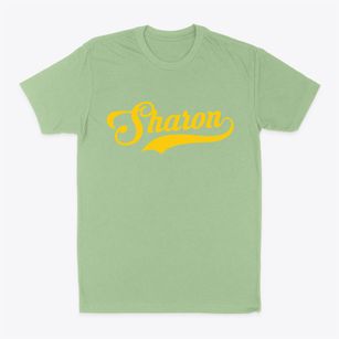 Sharon Wisconsin Vintage Team Classic Dad T-Shirt