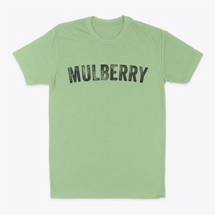 Mulberry Florida Timeless Retro Classic Dad T-Shirt