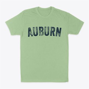 Auburn New Hampshire Timeless Retro Classic Dad T-Shirt