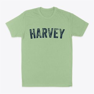 Harvey Illinois Timeless Retro Classic Dad T-Shirt