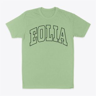 Eolia Missouri Trendy Block Classic Dad T-Shirt
