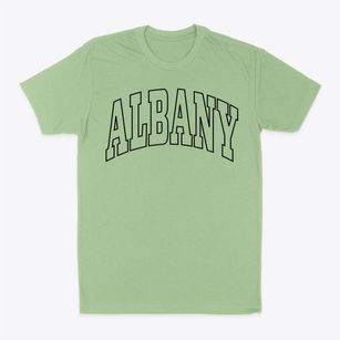 Albany Georgia Trendy Block Classic Dad T-Shirt