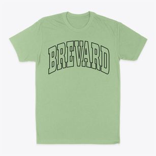 Brevard North Carolina Trendy Block Classic Dad T-Shirt