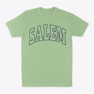 Salem Illinois Trendy Block Classic Dad T-Shirt