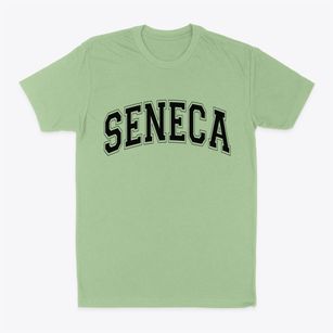 Seneca New York Varsity Classic Dad T-Shirt