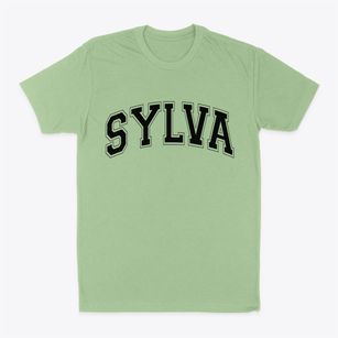Sylva North Carolina Varsity Classic Dad T-Shirt