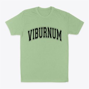 Viburnum Missouri Varsity Classic Dad T-Shirt