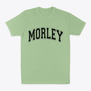 Morley Michigan Varsity Classic Dad T-Shirt
