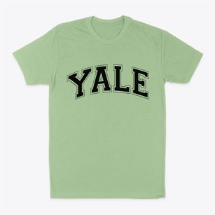 Yale Illinois Varsity Classic Dad T-Shirt