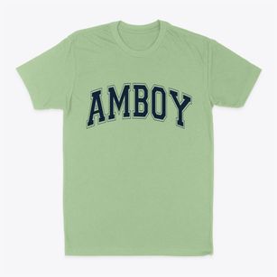 Amboy New York Varsity Classic Dad T-Shirt