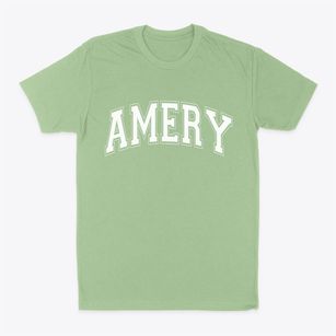 Amery Wisconsin Varsity Classic Dad T-Shirt