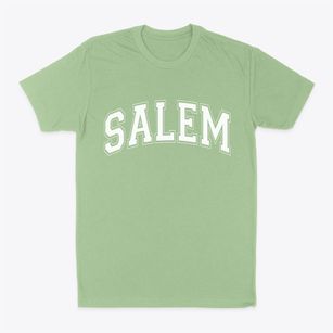 Salem Virginia Varsity Classic Dad T-Shirt