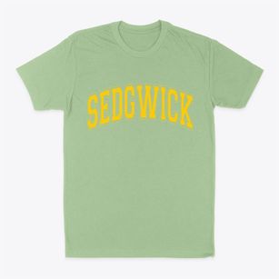 Sedgwick Arkansas Varsity Classic Dad T-Shirt