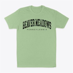 Beaver Meadows Pennsylvania Urban Vibe Classic Dad T-Shirt
