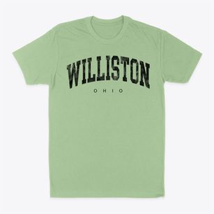 Williston Ohio Urban Vibe Classic Dad T-Shirt