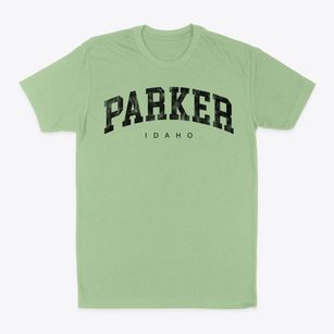 Parker Idaho Urban Vibe Classic Dad T-Shirt