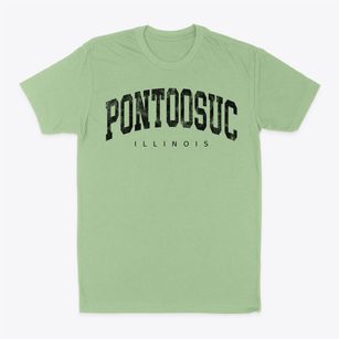 Pontoosuc Illinois Urban Vibe Classic Dad T-Shirt