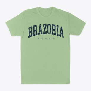 Brazoria Texas Urban Vibe Classic Dad T-Shirt