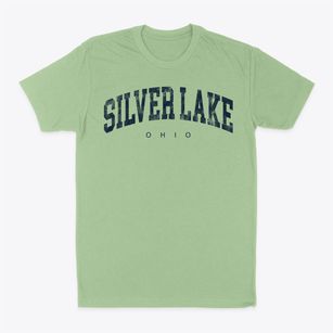 Silver Lake Ohio Urban Vibe Classic Dad T-Shirt