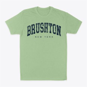 Brushton New York Urban Vibe Classic Dad T-Shirt